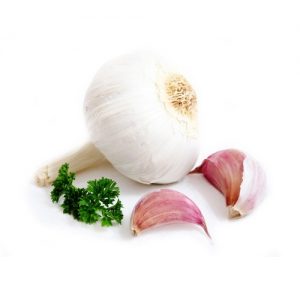 Best Quality Garlic