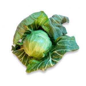 Summer Primo Cabbage