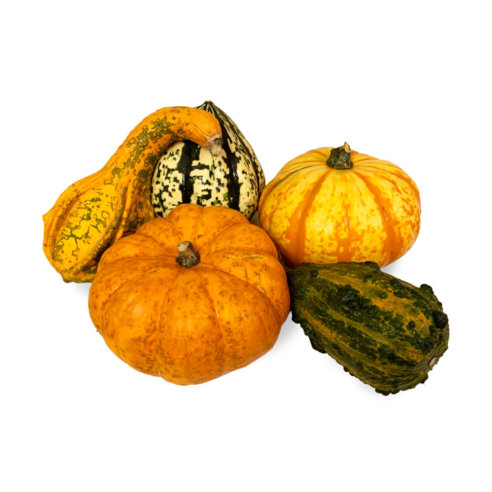 Pumpkins Special
