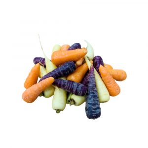 Rainbow Coloured Chantenay Carrots