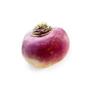 Photo of a Turnip