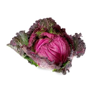 Cabbage January King
