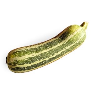 Marrow
